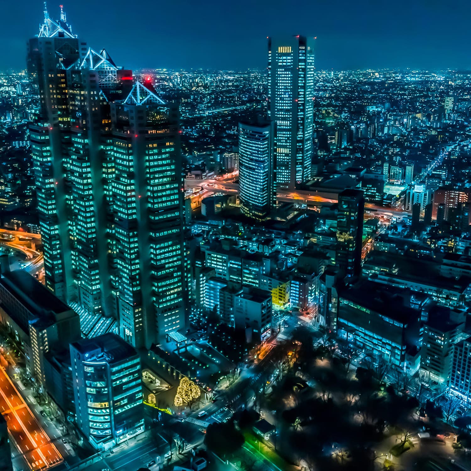 経済成長とリスクマネージメント Economic Growth and Risk Management（EGRM）