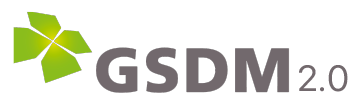 GSDM : Global Leader Program for Social Design and Management